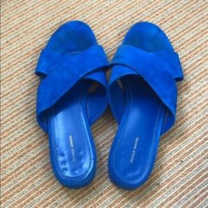 Mansur Gavriel Royal Blue Mules